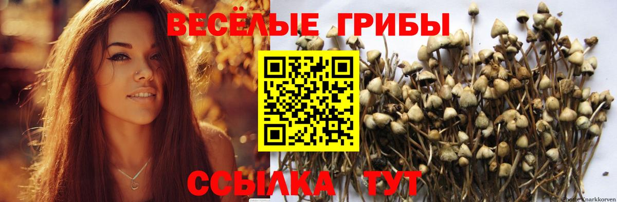 Кумертау  Галлюциногенные грибы ЛСД  Вход с VPN 